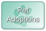 pet adoptions